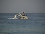 071019@Zorce-Earthrace.jpg