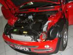 Zorce-Mini-23-1.jpg