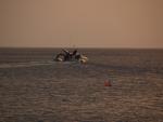 175253@Zorce-Earthrace.jpg