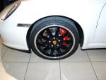 185721@Zorce-911-29oct08.jpg