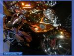 DSCF1156.jpg