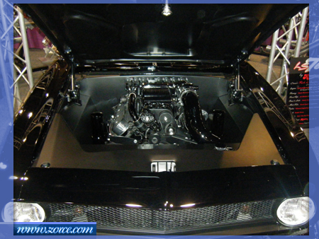 DSCF1259.jpg