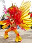 095711@Narend-Tribe-Tuesday-09.jpg