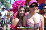 140343atZORCE.jpg