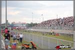 100501-180218-ZORCE.jpg