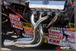 100502-143211-ZORCE.jpg