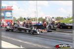 100502-153650-ZORCE-6.jpg