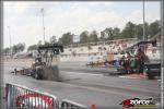100502-154142-ZORCE-2.jpg