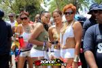 112345-ZORCE.jpg