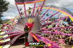 125209-ZORCE.jpg