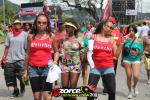 135236-ZORCE.jpg