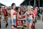 143228-ZORCE.jpg