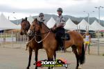 144617-ZORCE.jpg