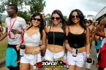 150738-ZORCE.jpg