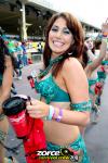 083355-ZORCE.jpg