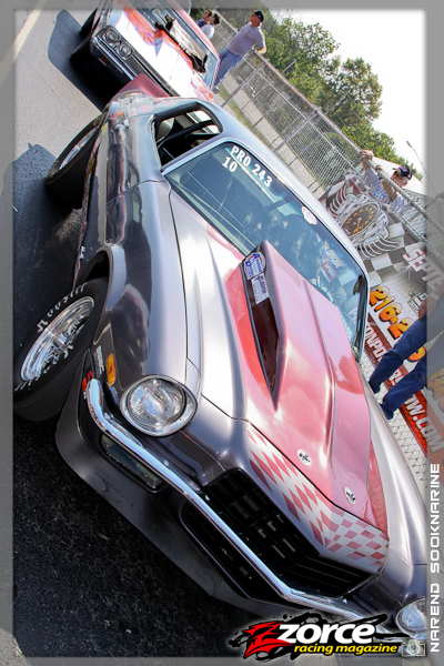 115356-ZORCE.jpg