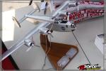 141951-ZORCE.jpg