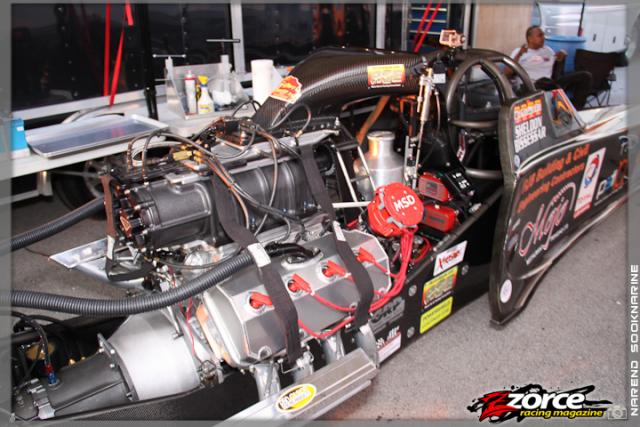 201430-ZORCE.jpg