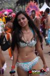21130547-ZORCE.jpg