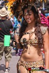 21140757-ZORCE.jpg