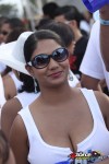 27171049-ZORCE.jpg