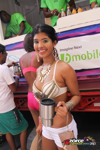 11110932-ZORCE.jpg