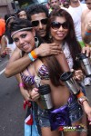 11114125-ZORCE.jpg
