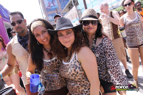 11114820-ZORCE.jpg
