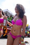 11115254-ZORCE.jpg