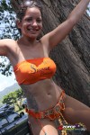11124925-ZORCE.jpg