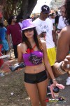 11130944-ZORCE.jpg