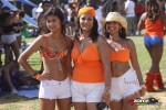11144810-ZORCE.jpg