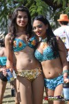 11150635-ZORCE.jpg