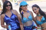 11151053-ZORCE.jpg