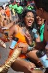 11155401-ZORCE.jpg
