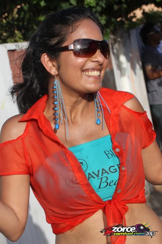 11170612-ZORCE.jpg