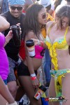 11171516-ZORCE.jpg